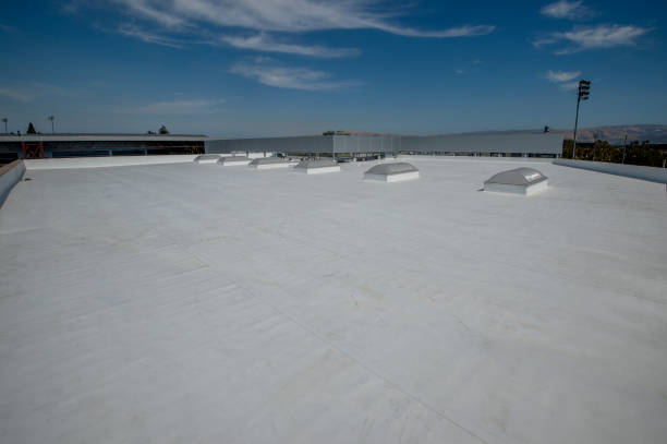 Best Roof Insulation Installation  in New Boston, OH