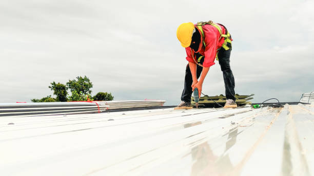 Best Roof Coating and Sealing  in New Boston, OH